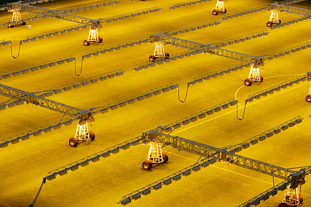 巴喬職業(yè)生涯球衣號(hào)碼全記錄，官方查詢系統(tǒng)開放