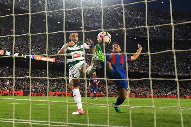 比利時隊歷史最佳戰(zhàn)績盤點：哪些時刻值得銘記？