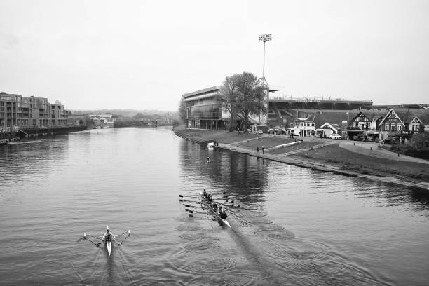 (深入剖析心理層面,角度新穎)