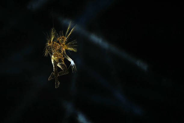 未來(lái)已來(lái):2024巴黎奧運(yùn)會(huì)AI宣傳片中的科技元素