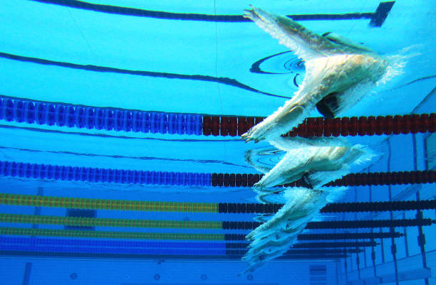 從全紅嬋的亞運(yùn)奪冠看體育精神與青春奮斗