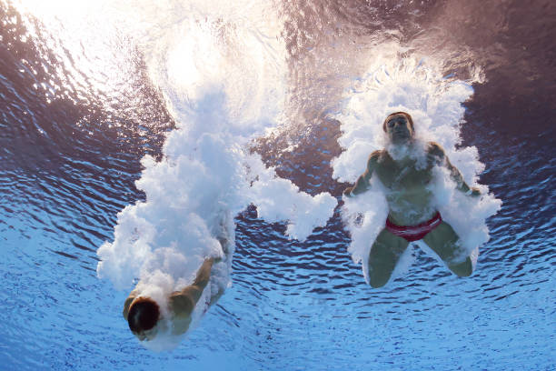 伏明霞退役后的影響:她的成績?nèi)绾渭钚乱淮\動員