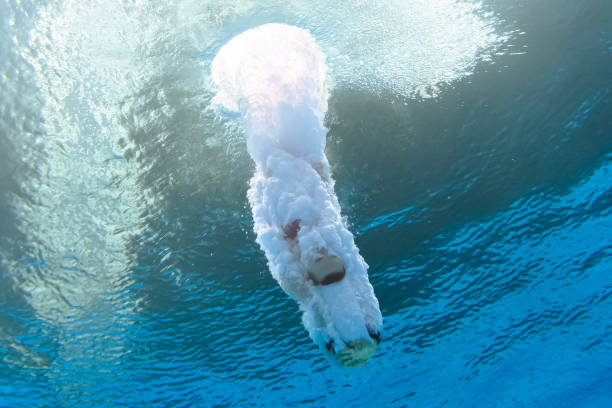 馬拉松世界紀(jì)錄突破：科技與訓(xùn)練如何推動(dòng)極限？