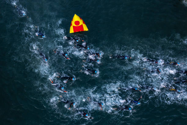 北京游泳館地址查詢:附聯(lián)系方式與開放時間